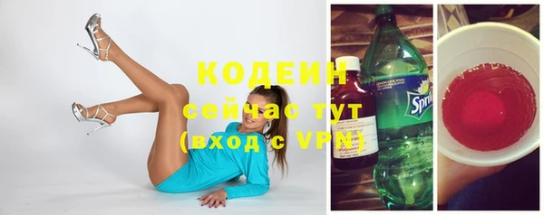 spice Богданович