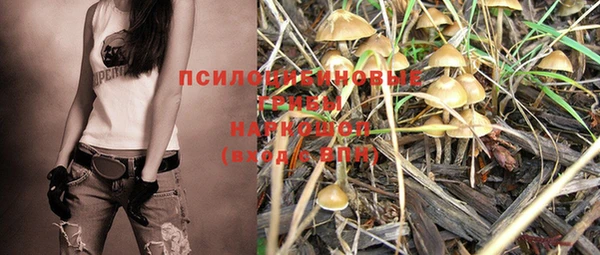MESCALINE Богородицк