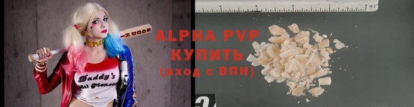 spice Богданович