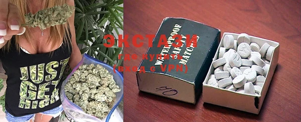 spice Богданович